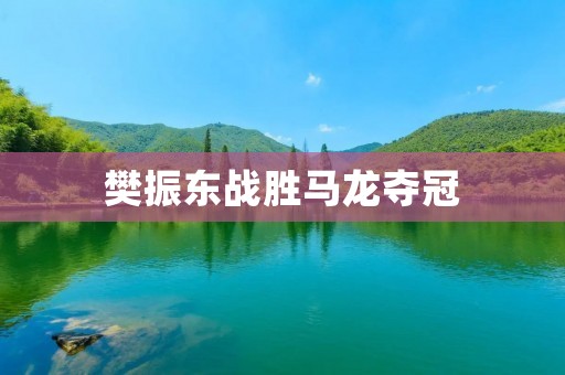 樊振东战胜马龙夺冠:中国乒乓球新一代的崛起 樊振东战胜马龙夺冠:中国乒乓球新一代的崛起