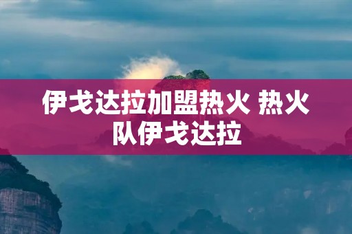 伊戈达拉加盟热火 热火队伊戈达拉