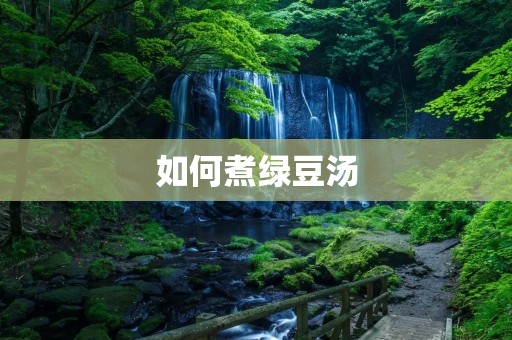 如何煮绿豆汤