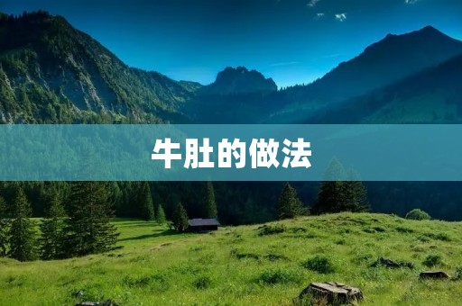 牛肚的做法:美味可口的牛肚料理 牛肚的做法:美味可口的牛肚料理