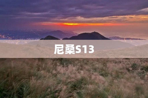 尼桑S13：纯粹的驾驶乐趣