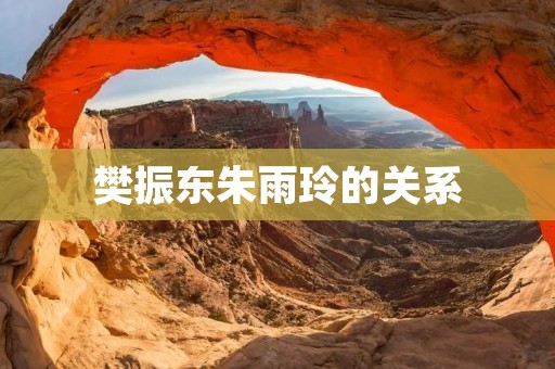 樊振东朱雨玲的关系