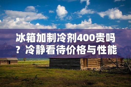 冰箱加制冷剂400贵吗？冷静看待价格与性能的关系