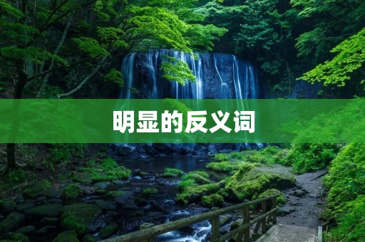 明显的反义词:黑与白的对立
