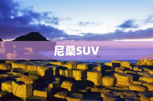 尼桑SUV:豪华与实用的完美结合 尼桑SUV:豪华与实用的完美结合