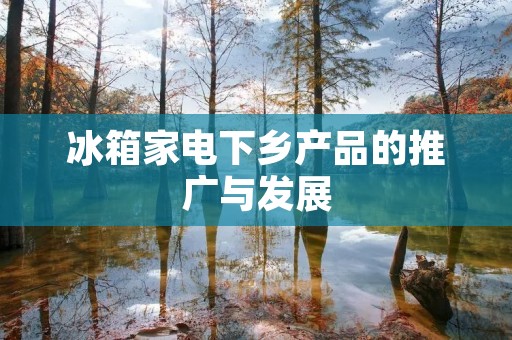冰箱家电下乡产品的推广与发展