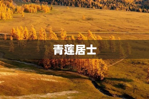 青莲居士:修行路上的智者