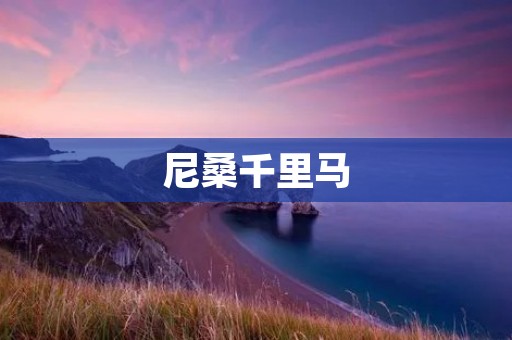 尼桑千里马：高性能跑车的传奇之路