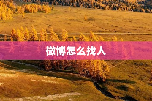 微博怎么找人