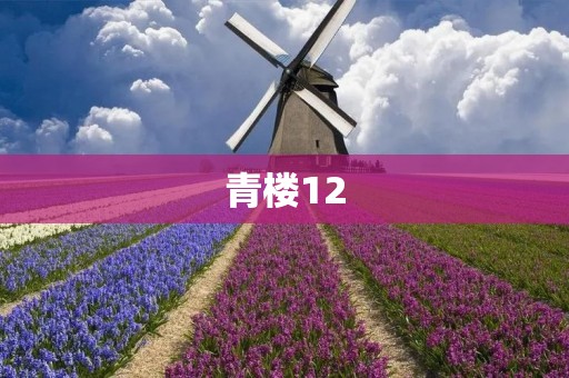 青楼12:古代风华绝代的娱乐场所