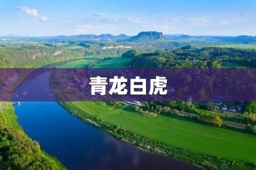 青龙白虎:传说中的神兽之争