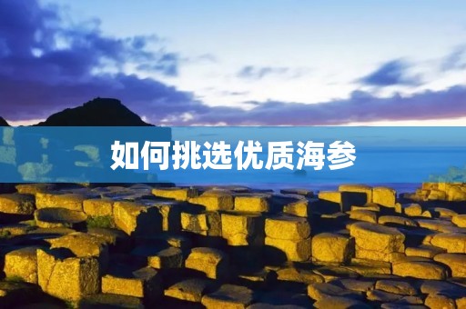 如何挑选优质海参