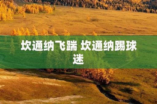 坎通纳飞踹 坎通纳踢球迷