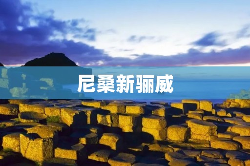 尼桑新骊威:引领时尚与科技的完美结合 尼桑新骊威:引领时尚与科技的完美结合