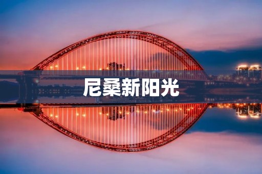尼桑新阳光:照亮未来的城市之星 尼桑新阳光:照亮未来的城市之星