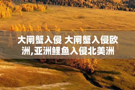 大闸蟹入侵 大闸蟹入侵欧洲,亚洲鲤鱼入侵北美洲
