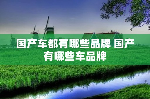 国产车都有哪些品牌 国产有哪些车品牌