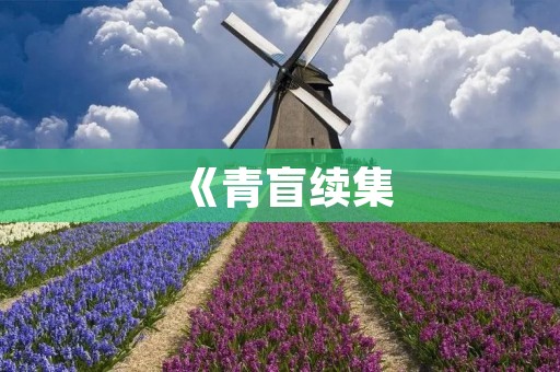 《青盲续集:探索未知的世界》