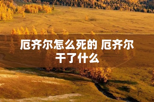 厄齐尔怎么死的 厄齐尔干了什么 厄齐尔怎么死的 厄齐尔干了什么