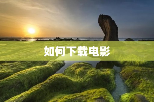 如何下载电影：从选择合适的网站到运用下载工具，一步步教你下载电影