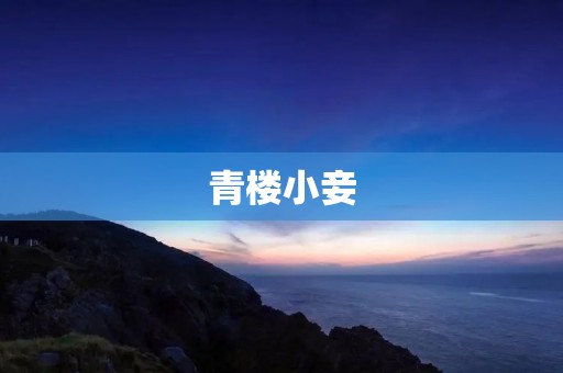 青楼小妾:红尘短梦,一生花魂