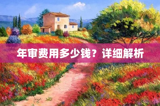 年审费用多少钱？详细解析
