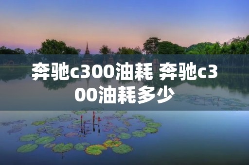 奔驰c300油耗 奔驰c300油耗多少 奔驰c300油耗 奔驰c300油耗多少