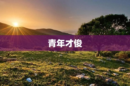 青年才俊:追逐梦想的热血青春