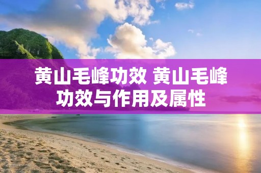黄山毛峰功效 黄山毛峰功效与作用及属性