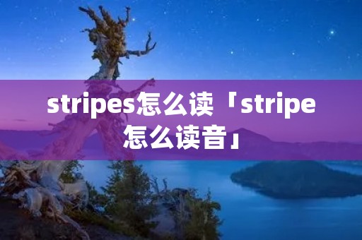 stripes怎么读「stripe怎么读音」