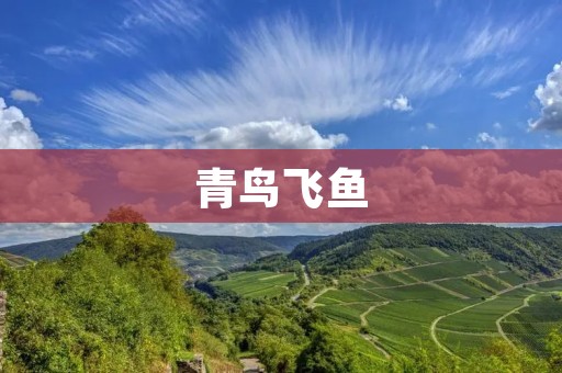 青鸟飞鱼:舞动在蓝天海洋的奇迹