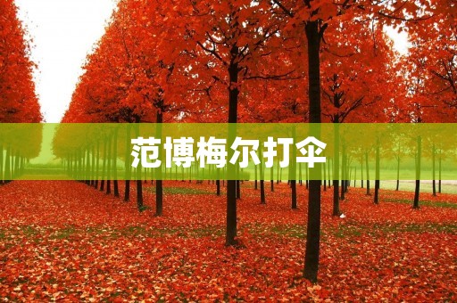 范博梅尔打伞：一次勇敢的行动