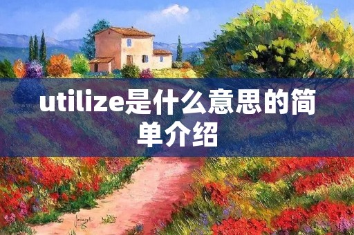 utilize是什么意思的简单介绍