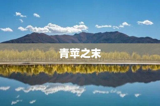 青苹之末:探索生活中的无尽可能性