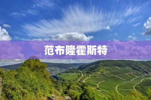 范布隆霍斯特:探索科学与艺术的交汇点 范布隆霍斯特:探索科学与艺术的交汇点