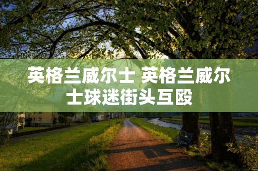 英格兰威尔士 英格兰威尔士球迷街头互殴 英格兰威尔士 英格兰威尔士球迷街头互殴