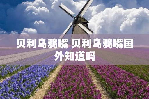 贝利乌鸦嘴 贝利乌鸦嘴国外知道吗 贝利乌鸦嘴 贝利乌鸦嘴国外知道吗