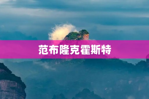 范布隆克霍斯特:颠覆传统的艺术家 范布隆克霍斯特:颠覆传统的艺术家