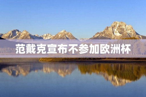 范戴克宣布不参加欧洲杯：对荷兰国家队的冲击及其背后的原因