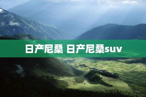 日产尼桑 日产尼桑suv
