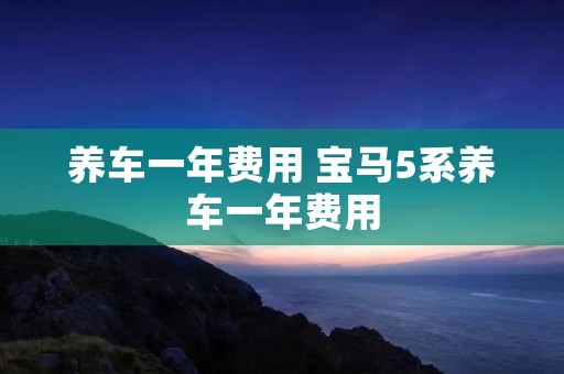养车一年费用 宝马5系养车一年费用