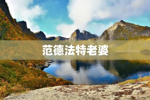 范德法特老婆：一个充满智慧与魅力的女人