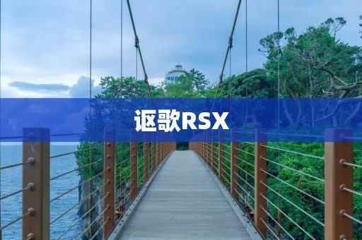 讴歌RSX:一款时尚动感的豪华跑车 讴歌RSX:一款时尚动感的豪华跑车