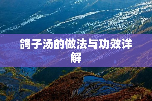 鸽子汤的做法与功效详解