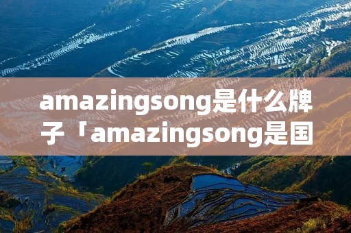 amazingsong是什么牌子「amazingsong是国内牌子吗」