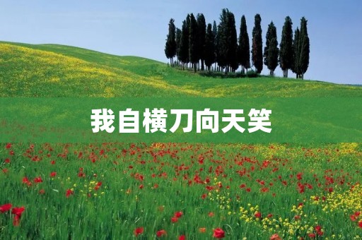 我自横刀向天笑：无畏勇气与坚定信念的力量