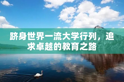 跻身世界一流大学行列,追求卓越的教育之路