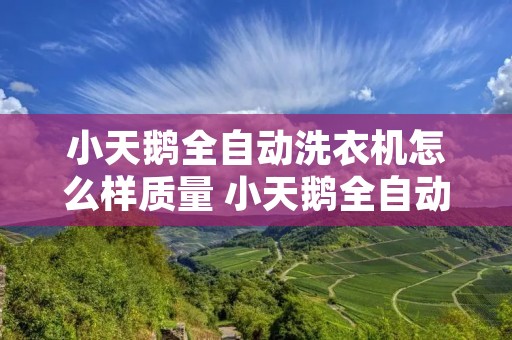 小天鹅全自动洗衣机怎么样质量 小天鹅全自动洗衣机是牌子吗