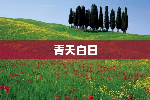 青天白日:中华民族的希望与梦想