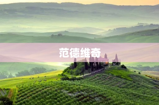 范德维奇：创新与颠覆的代表